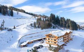 Skylodge Alpine Homes